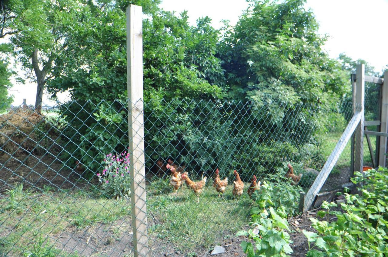 Ferienwohnung Landliebe 65347 Moormerland Bagian luar foto