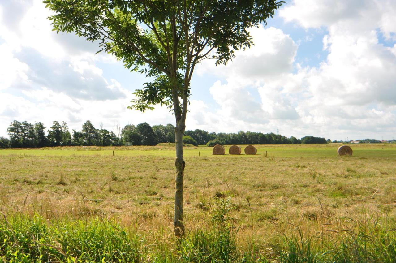 Ferienwohnung Landliebe 65347 Moormerland Bagian luar foto